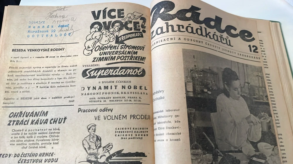 Rádce zahrádkářů 1950 - 51