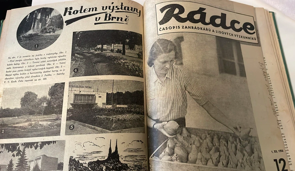 Rádce zahradkářů 1955 - 56