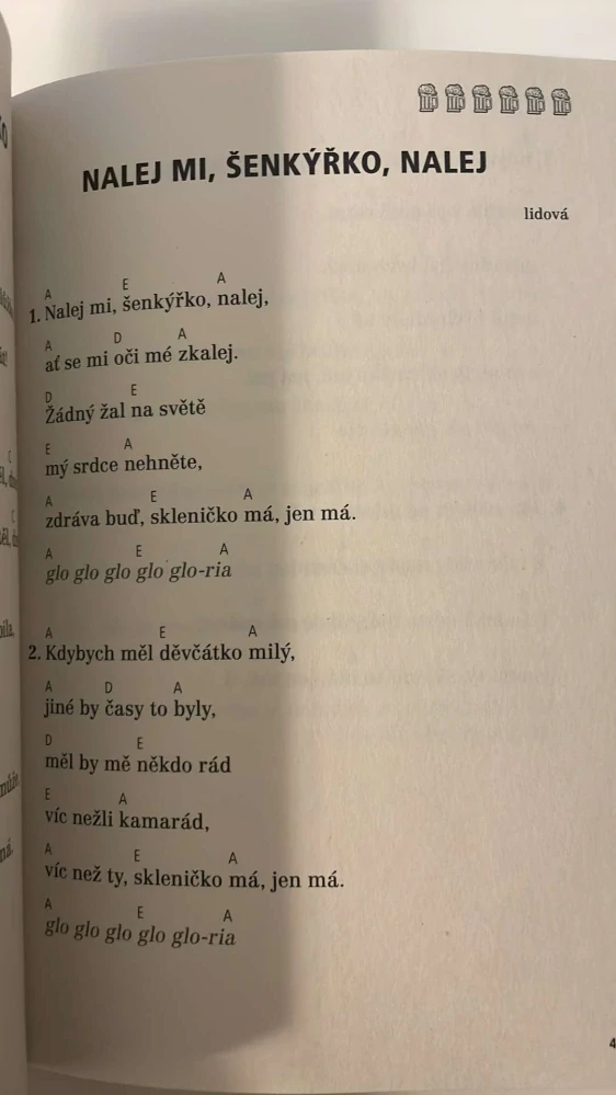 ZPĚVNÍK : PÍSNIČKY NEJEN DO HOSPODY