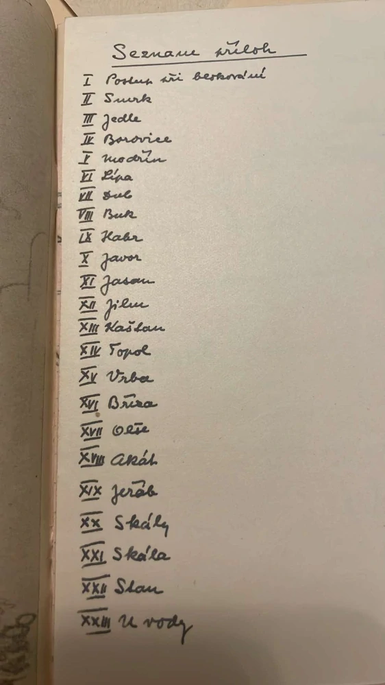 BŘETISLAV KOMÁREK : JUNÁK KRESLÍŘ