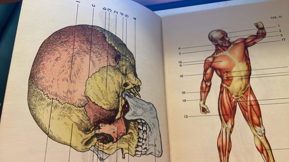 Anatomie a fysiologie člověka