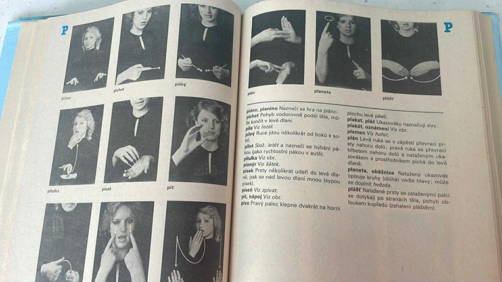 Slovník znakové řeči