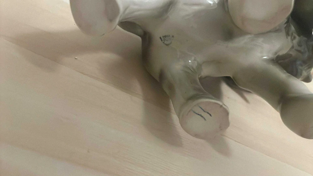 ROYAL DUCHCOV : SLON