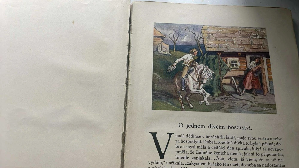 FR. STRANECKÁ : POHÁDKY I.