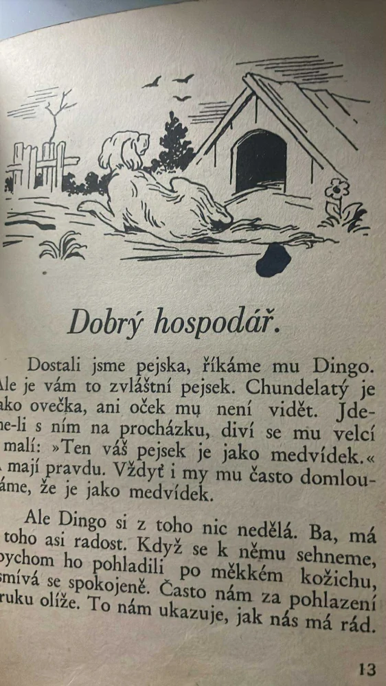 VLADIMÍR MAZÁLEK : POLNÍ KVÍTKA