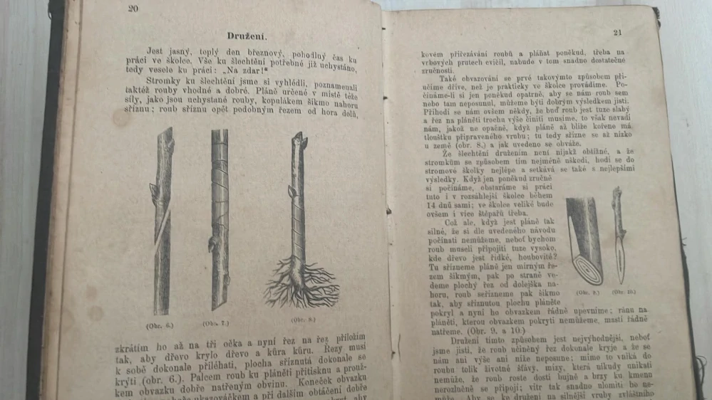 Jan Karel Řezáč : Praktický štěpař