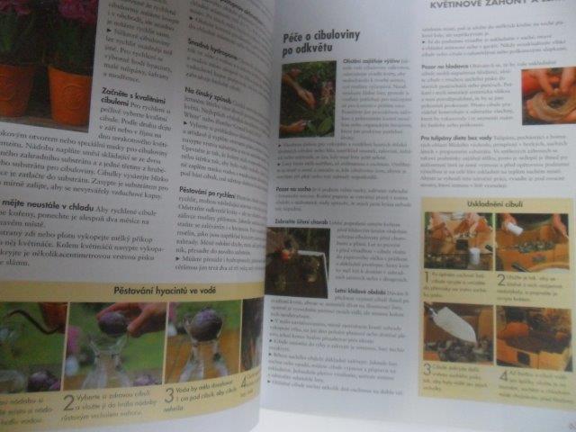 KAYLA OLSONOVÁ - HRADY Z PÍSKU