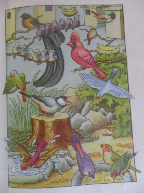 O. SEKORA - UPRCHLÍK NA PTAČÍM STROMĚ