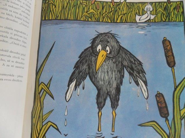 JUNGE WELT - ZLATÉ JABLKO