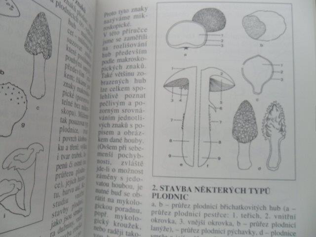 M. SMOTLACHA - KAPESNÍ ATLAS HUB