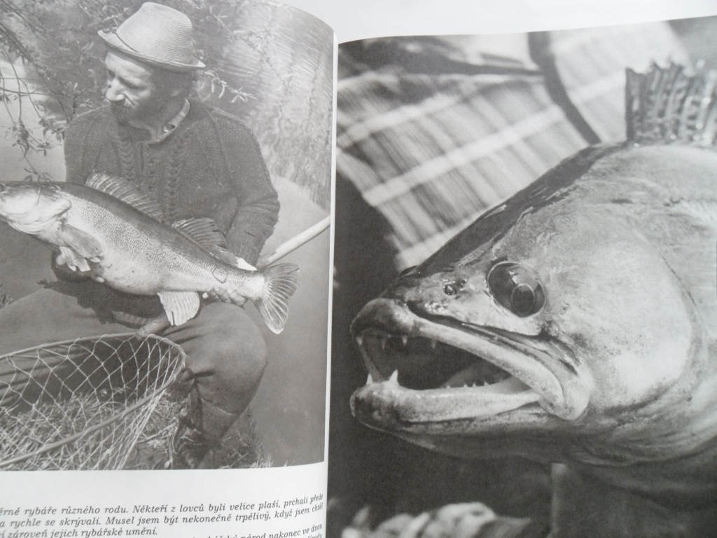 JAN RYS - RYBÁŘI SNŮ A SKUTEČNOSTI