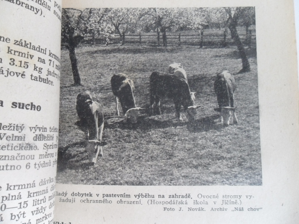 FRANTIŠEK SVOBODA - MALÁ KRMNÁ TECHNIKA