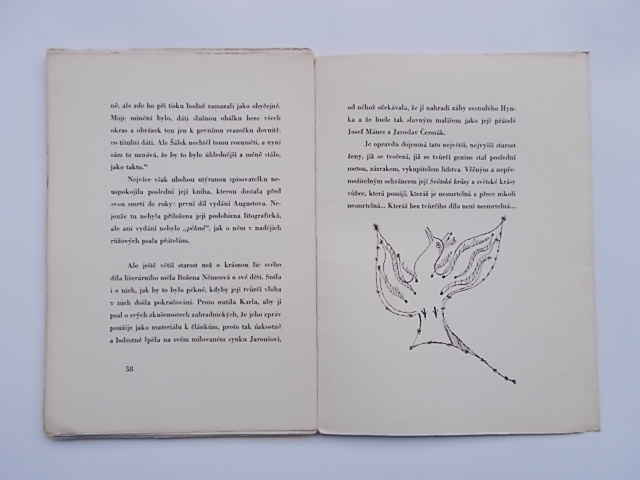 MILOSLAV NOVOTNÝ - BOŽENA NĚMCOVÁ A SVĚTSKÁ KRÁSA