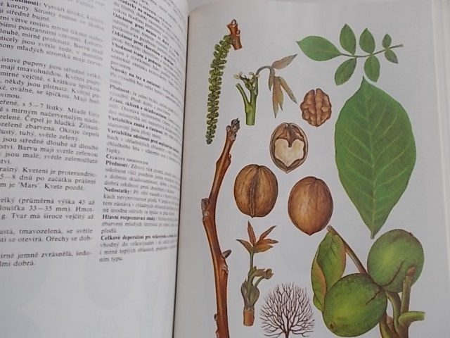 JOSEF KUTINA A KOL. - POMOLOGICKÝ ATLAS 1