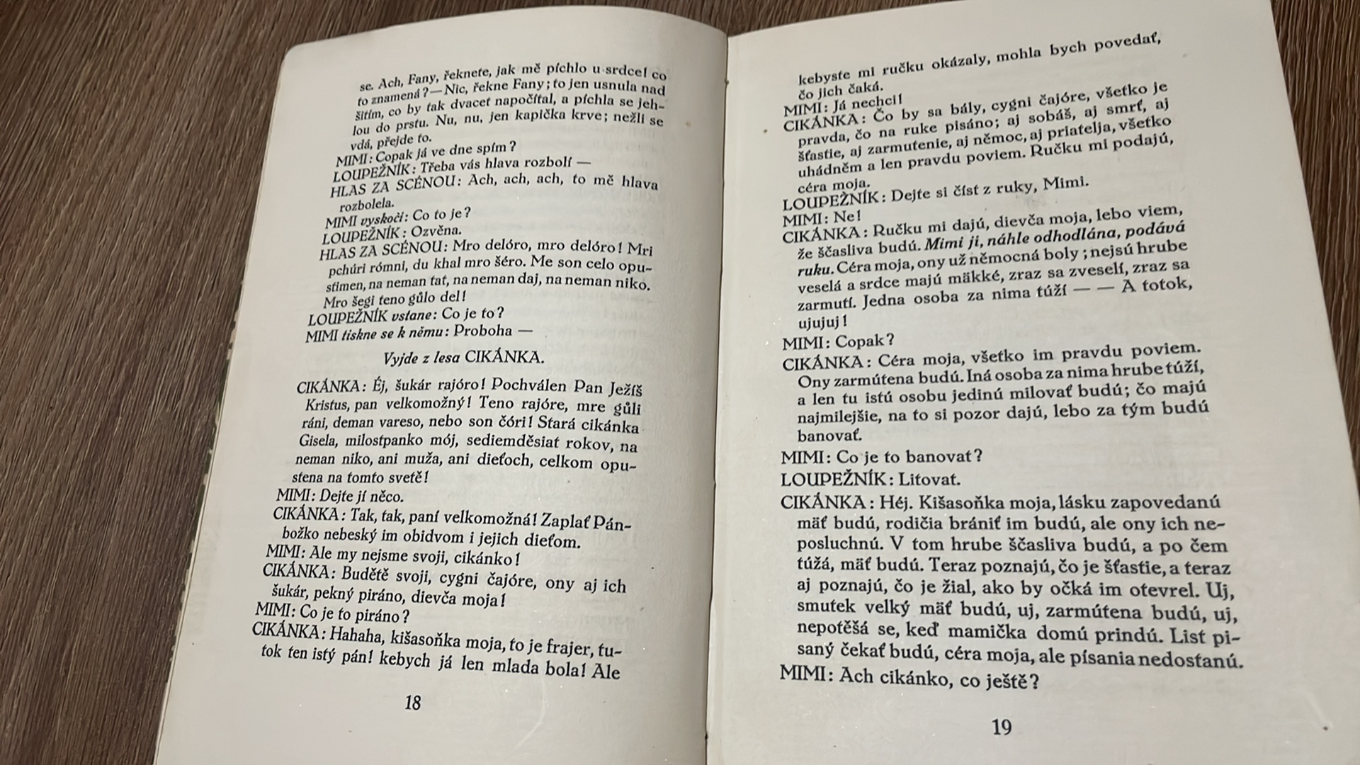 KAREL ČAPEK - LOUPEŽNÍK