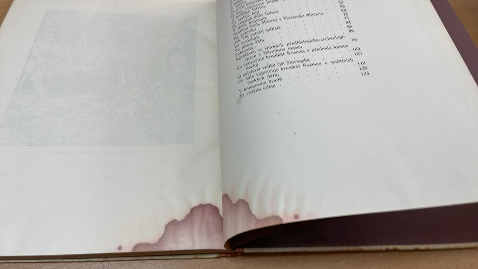 JAN DOLENSKÝ - OBRAZY Z DÁVNOVĚKU