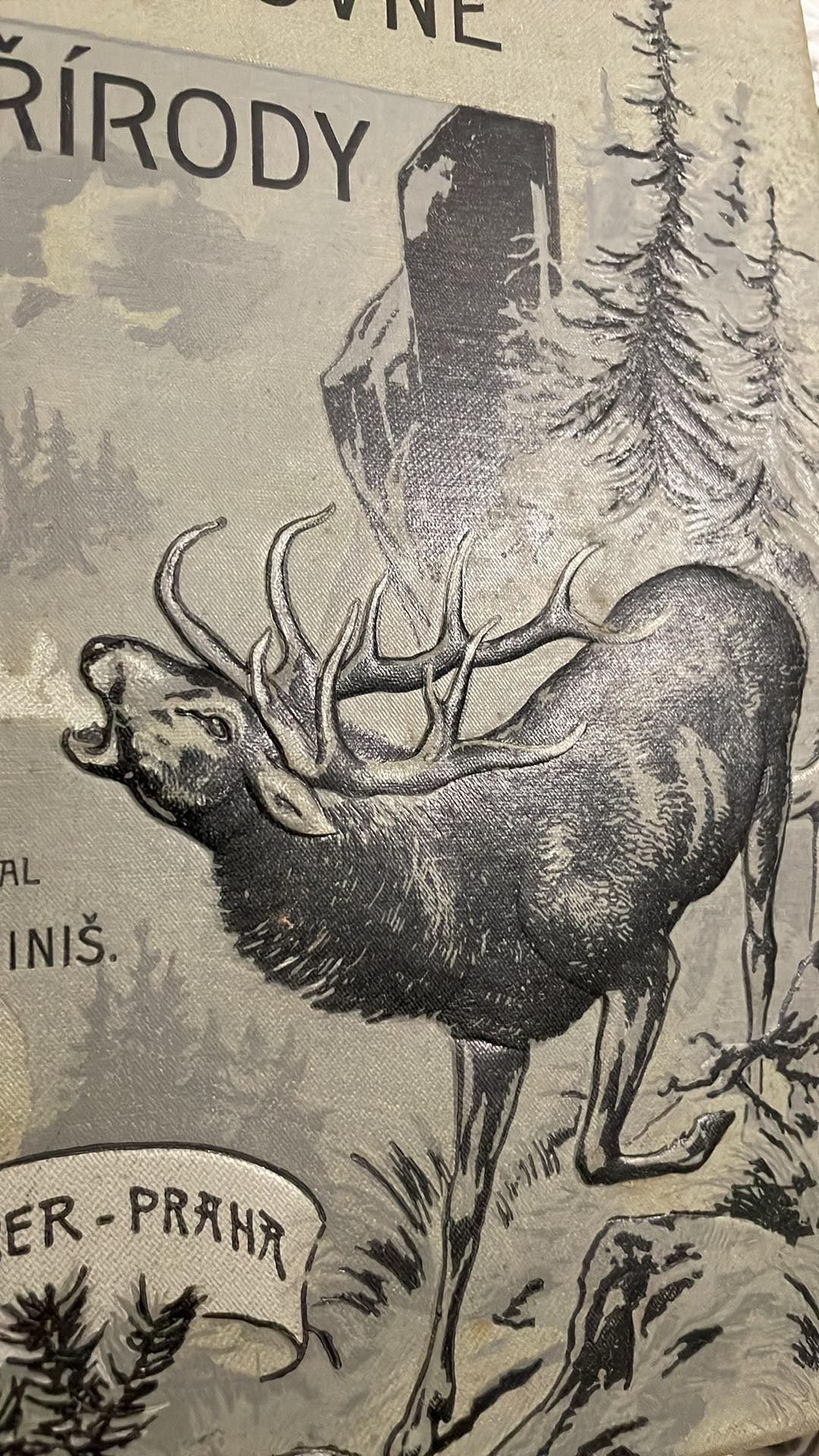 ST. REINIŠ : Z ČAROVNÉ PŘÍRODY