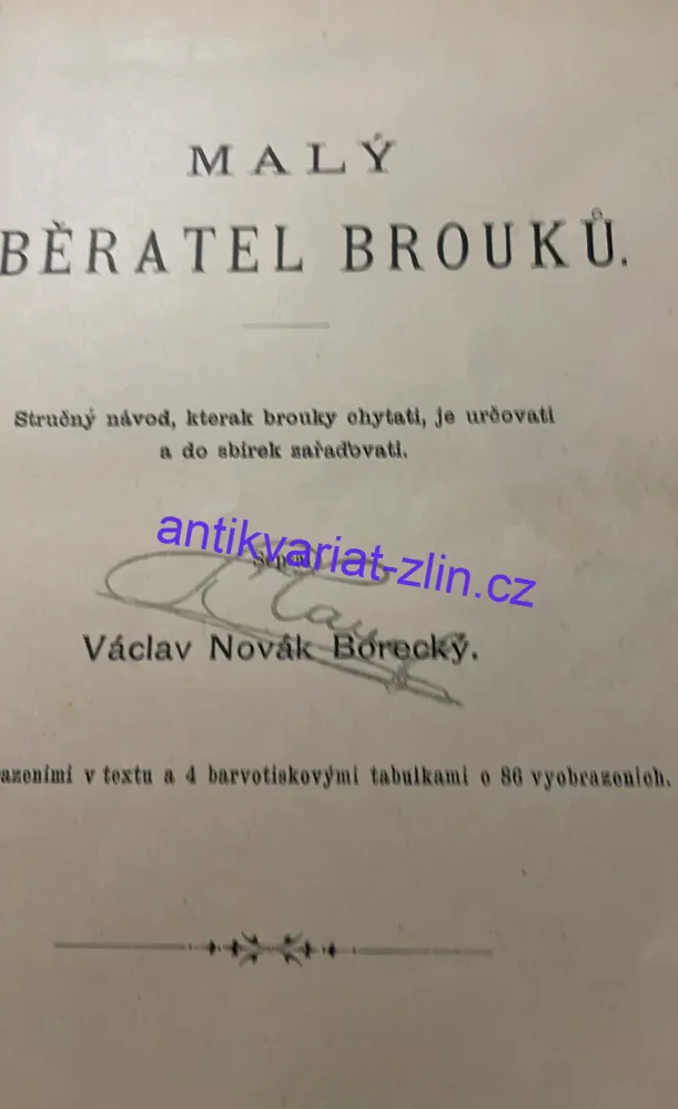 V. N. Boreckého : Malý sběratel brouků
