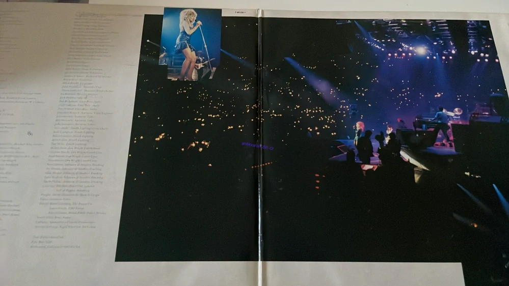 2 LP TINA TURNER LIVE IN EUROPA