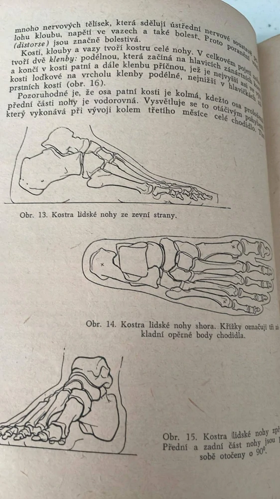 PROF. MUDR. M. JAROŠ : PÉČE O NOHY