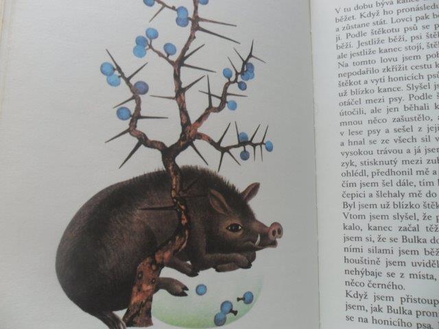 TOLSTOJ DĚTEM