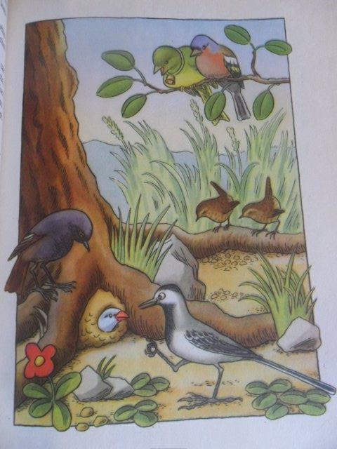 O. SEKORA - UPRCHLÍK NA PTAČÍM STROMĚ