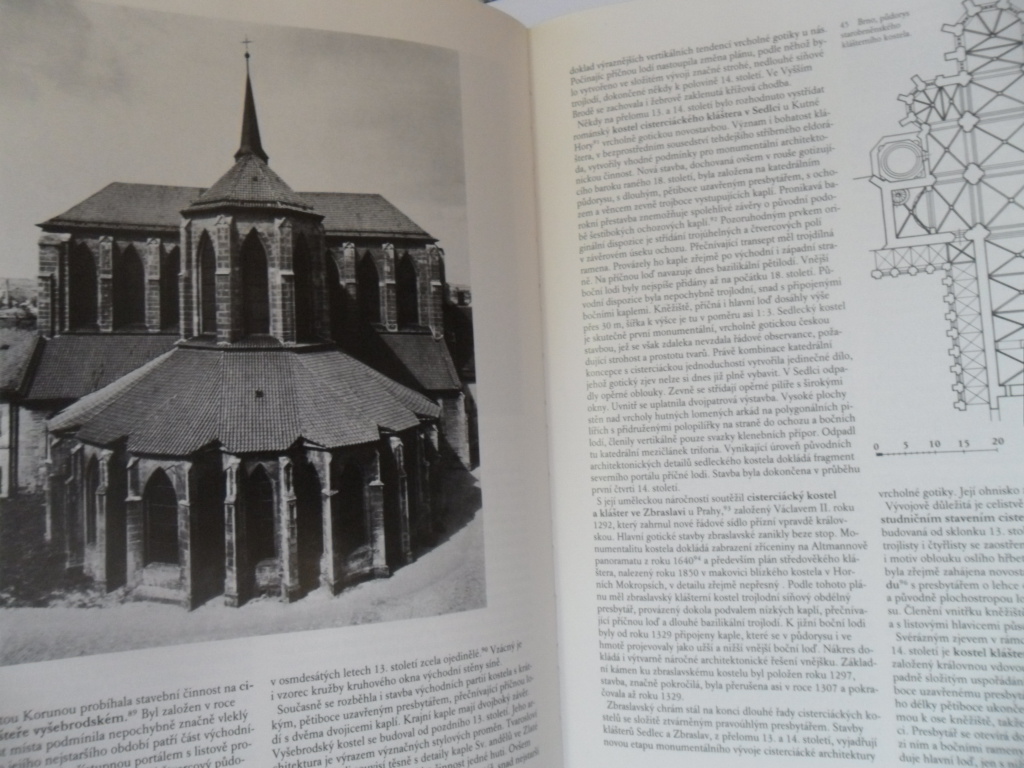 DĚJINY ČESKÉHO VÝTVARNÉHO UMĚNÍ 1/2 DÍLY