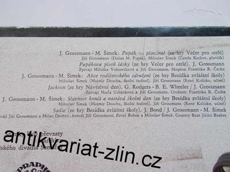 LP TO BYL JIŘÍ GROSSMANN