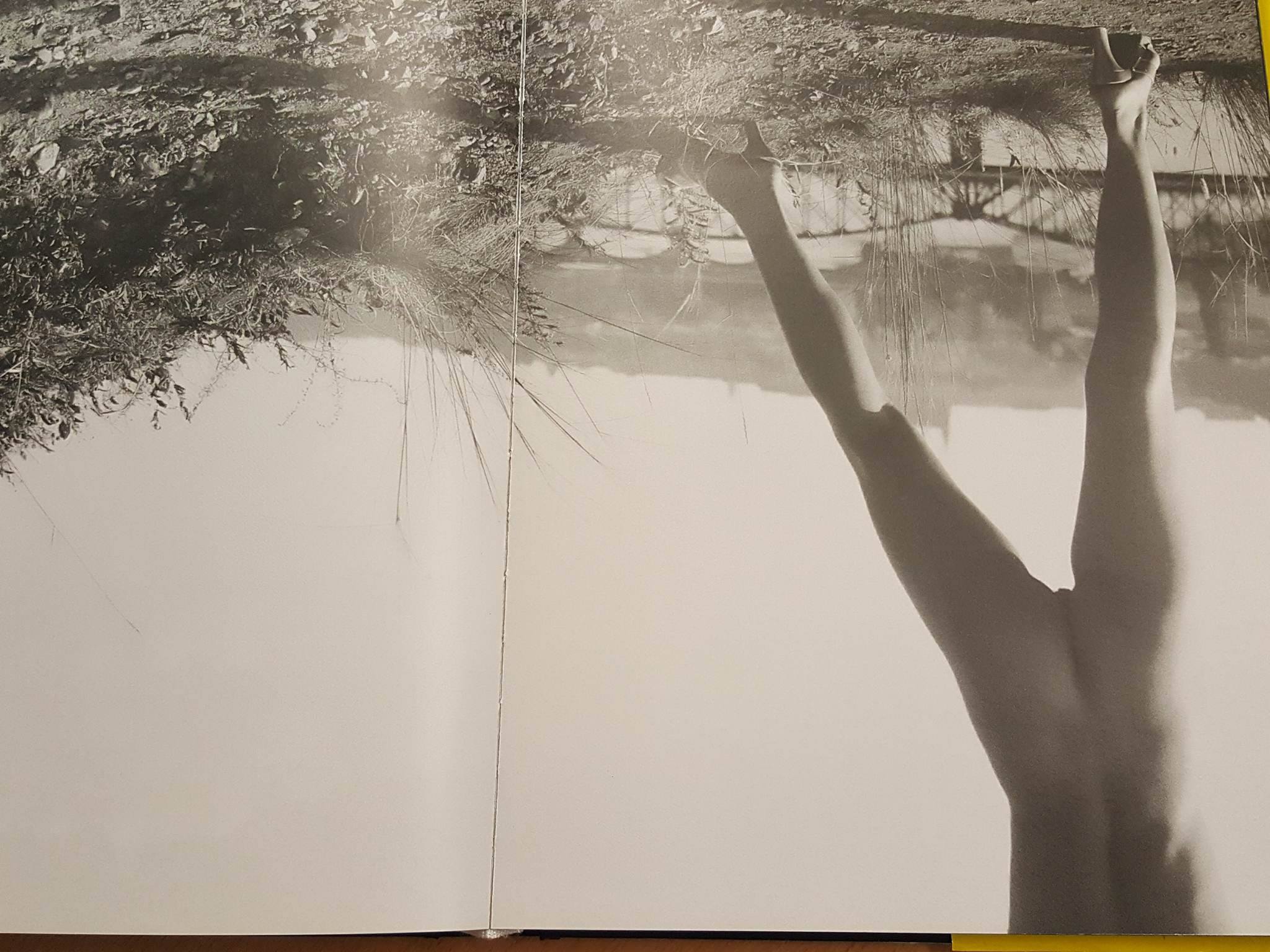 Rossano B. Maniscalchi - CONCEPT QUO