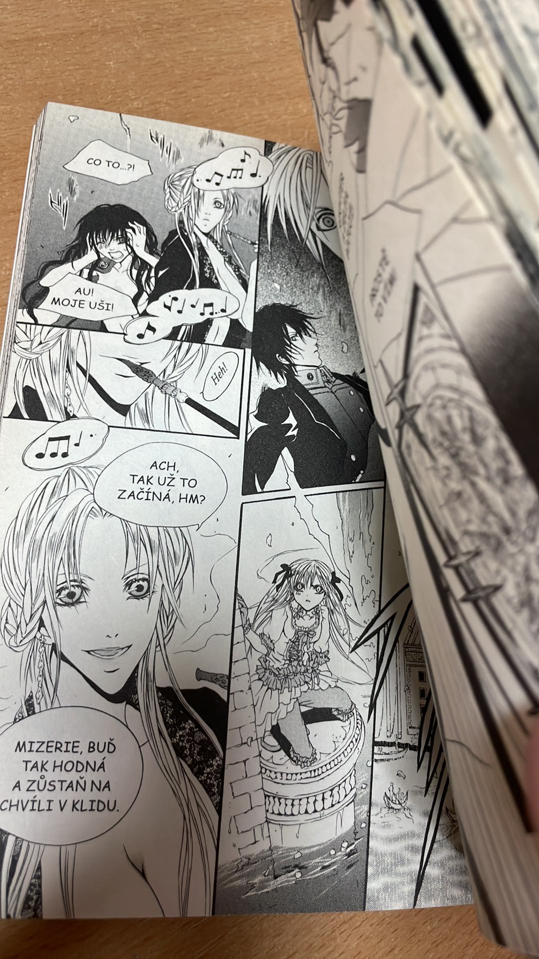 RYOKO MITSUKI - DVĚŘE CHAOSU