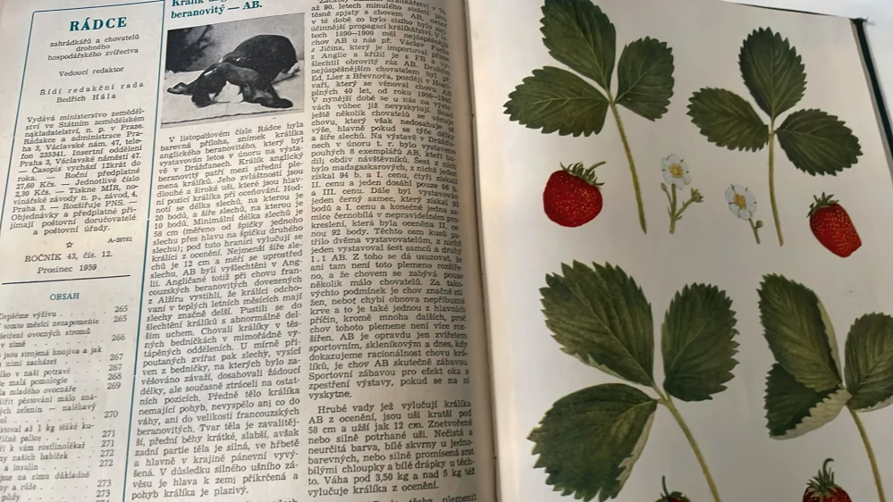 Rádce zahrádkářů 1957 - 59