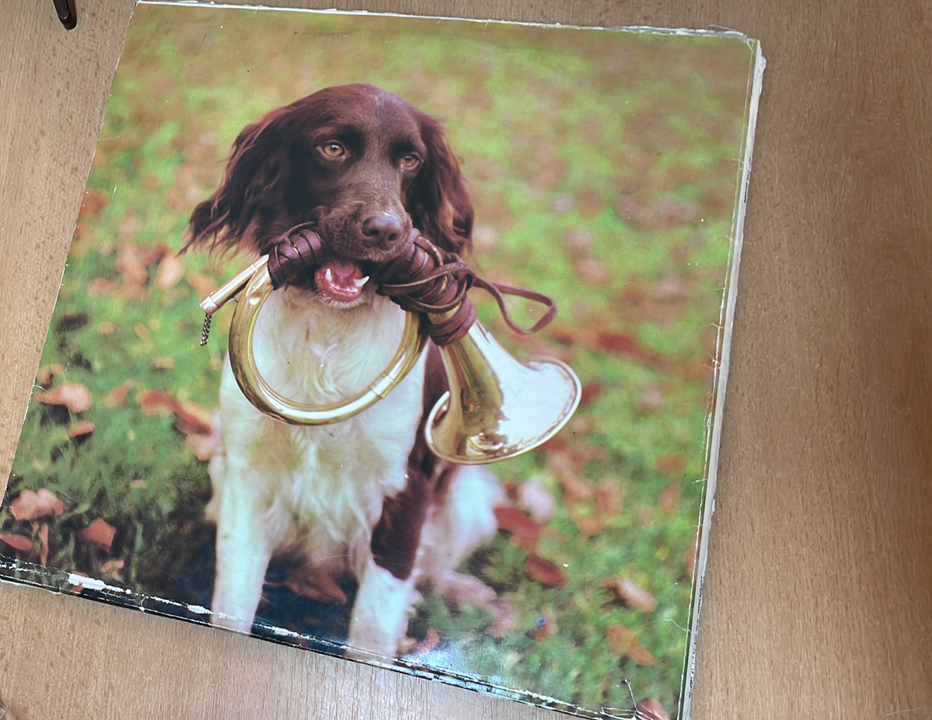 2 LP LOVECKÁ SETKÁNÍ