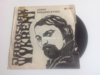 SP DESKA - JAROSLAV WYKRENT / POSLEDNÍ KYTICE, AGNES