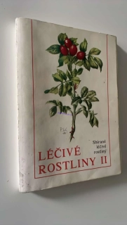 SBÍRÁME LÉČIVÉ ROSTLINY - LÉČIVÉ ROSTLINY II.