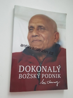 SRI CHINMOY - DOKONALÝ BOŽSKÝ 
