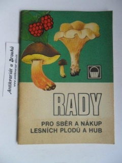 RADY PRO SBĚR A NÁKUP LESNÍCH PLODŮ A HUB