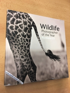 WILDLIFE PHOTOGRAPHER OF THE YEAR