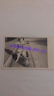 Fotografie holčiička s koloběžkou