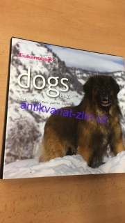 Dogs H -Z