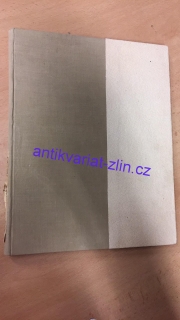 Skaut Junák ročník 24