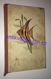 Bohumil Lhotský - Skleněné domovy