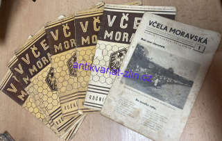 VČELA MORAVSKÁ
