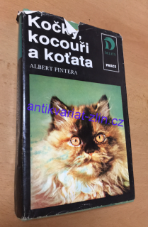 Albert Pintera - KOČKY, KOCOUŘI A KOŤATA