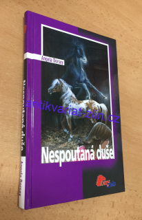 ANGELA DORSEY - NESPOUTANÁ DUŠE