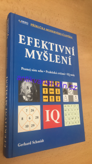 GERHARD SCHMIDT - EFEKTIVNÍ MYŠLENÍ