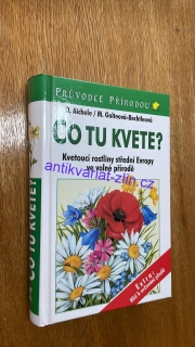 D. Aichele - Co tu kvete?