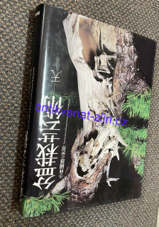 KUNIO KOBAYASHI - THE WORLD OF BONSAI