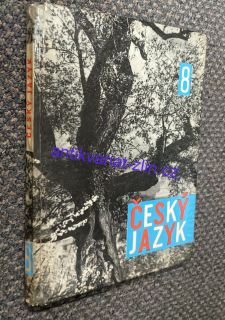 ČESKÝ JAZYK 8