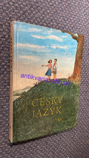 ČESKÝ JAZYK 6