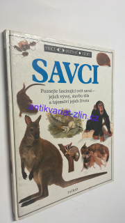 STEVE PARKER - SAVCI